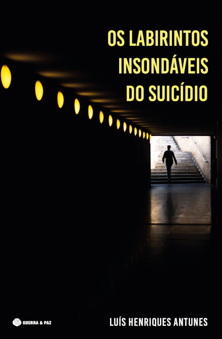 Os Labirintos Insondáveis Do Suicídio
