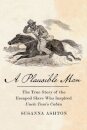 A Plausible Man