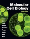 Molecular cell biology