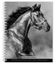 Horse The Noble The Browntrout Portrait