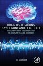 Brain Oscillations, Synchrony and Plasticity