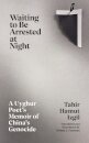 Waiting to Be Arrested at Night