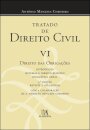 Tratado de Direito Civil Português VI