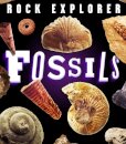 Rock Explorer: Fossils