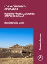 Los yacimientos olvidados: registro y musealizacion de campos de batalla