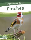 Finches