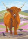 Nature Notebook: Highland Cow