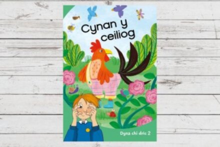 Dyna Chi Dric: Cynan y Ceiliog