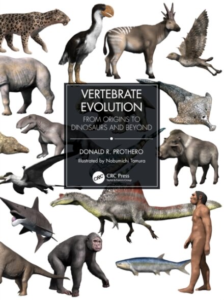 Vertebrate Evolution