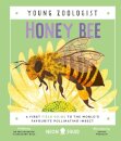 Honey Bee (Young Zoologist)