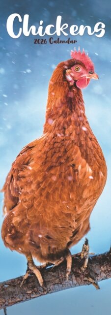 Chickens Slim Calendar 2026  Bird Slimline Calendar - 12 Month