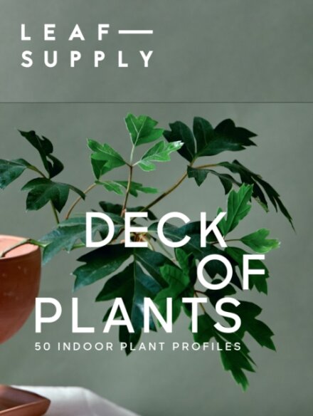 Leaf Supply Deck of Plants