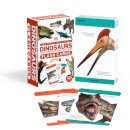 Our World in Pictures Dinosaurs and Other Prehistoric Creatures Flash Cards