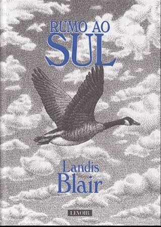 Rumo Ao Sul