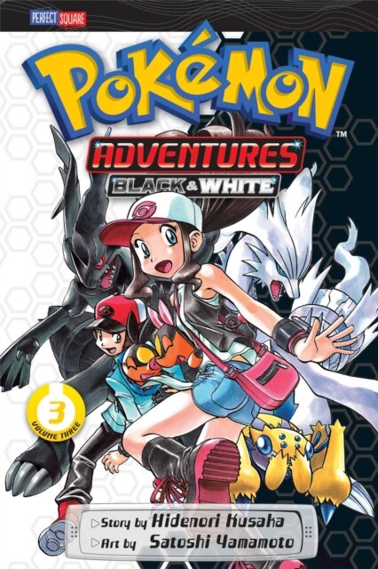 Pokemon Adv B & W 03