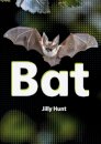 Bat (Set 02)