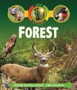 Life Cycles: Forest