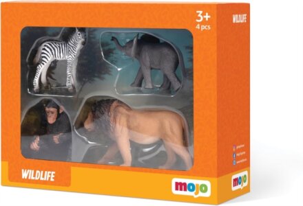 4pc Starter Set Africa