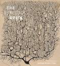 The Beautiful Brain