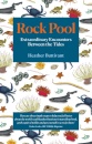 Rock Pool