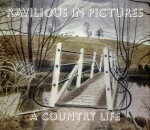 Ravilious in Pictures