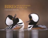 Bird Photographer of the Year