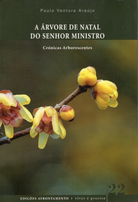 A Árvore de Natal do Senhor Ministro