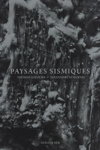 Paysages Sismiques