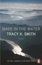 Wade in the Water