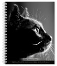 Cat The Regal The Browntrout Portrait Se