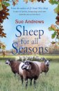 Sheep For All Seasons