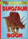 My First Dinosaur Book