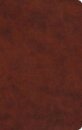 ESV Large Print Value Thinline Bible