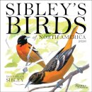 Sibley's Birds of North America 2026 Wall Calendar