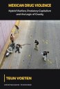 Mexican Drug Violence