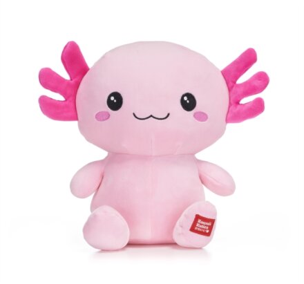 Kawaii Kuties 9.5" Axolotl Soft Toy