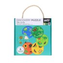 Discovery Puzzle: Life Cycle