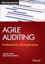 Agile Auditing