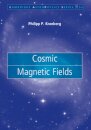 Cosmic Magnetic Fields