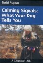 CALMING SIGNALS DVD