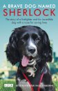 A Brave Dog Named Sherlock