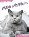 British Shorthairs