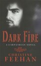 Dark Fire