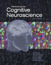 Principles of Cognitive Neuroscience