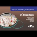 Colibacillosis - Main Challenges in Poultry Farming
