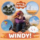 It's Windy!