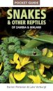 Pocket Guide to Snakes & Other Reptiles of Zambia and Malawi