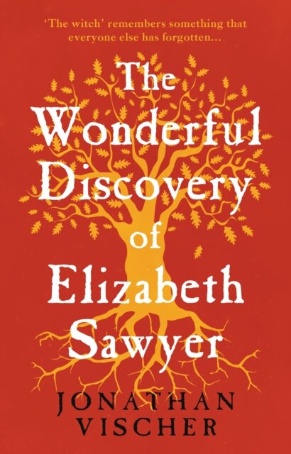 The Wonderful Discovery of Elizabeth Sawyer