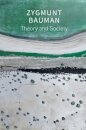 Theory and Society