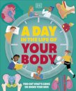 A Day in the Life of Your Body